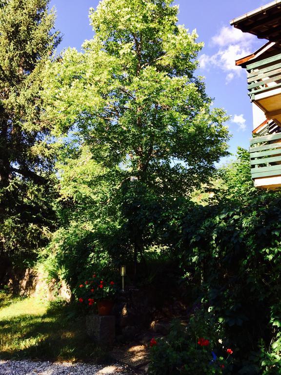 Beauvezer Hotel Du Verdon מראה חיצוני תמונה